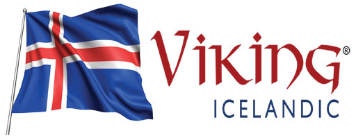 Viking Icelandic