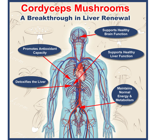 Viking Icelandic Liver Renew with Cordyceps Mushrooms
